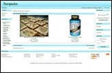 Screenshot eines Demoshops mit dem Standardtemplate turquoise